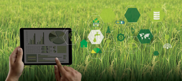 5G no agro: conexão móvel mais veloz já está disponível no campo