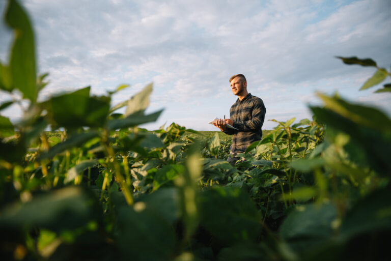 Sustentabilidade na cadeia de produção agroindustrial