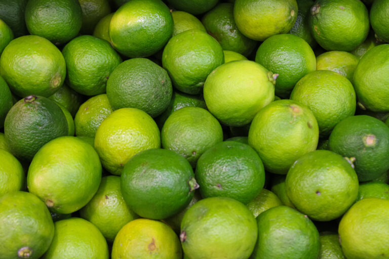 Preço do limão tahiti avança mais de 7% enquanto laranja segue estável