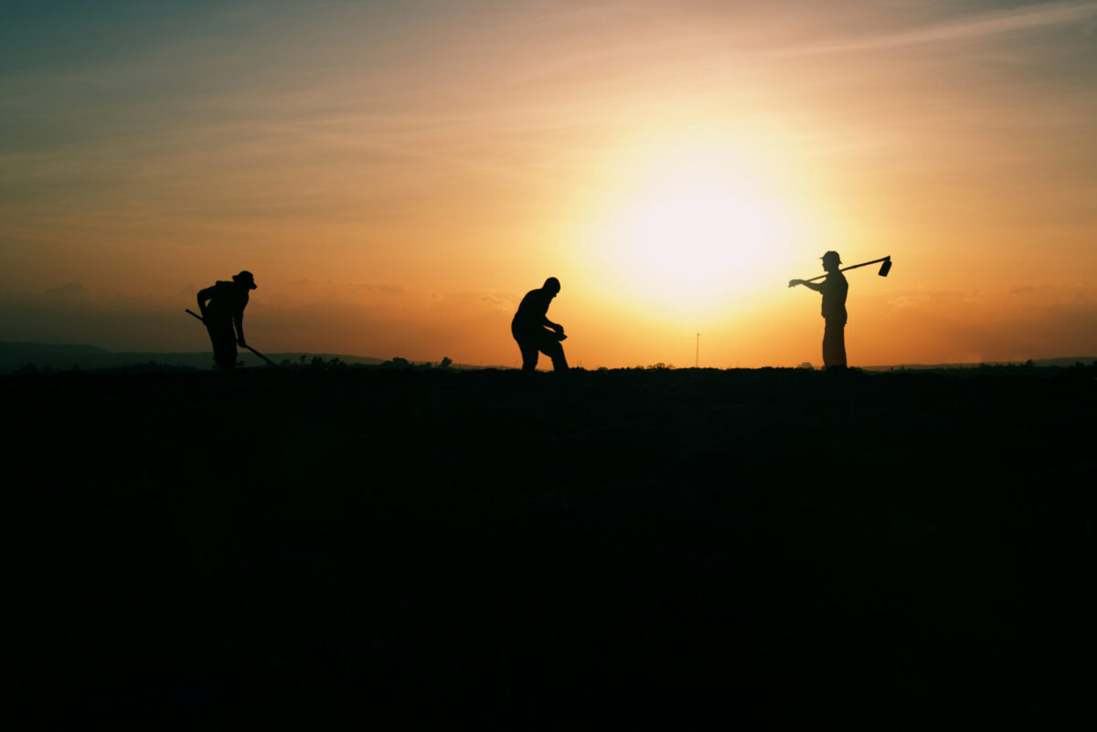 Foto: Adobe Stock