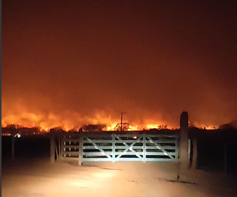 Fogo destruiu 60 mil hectares de canaviais em SP; prejuízo pode passar de R$ 350 milhões, estima Orplana