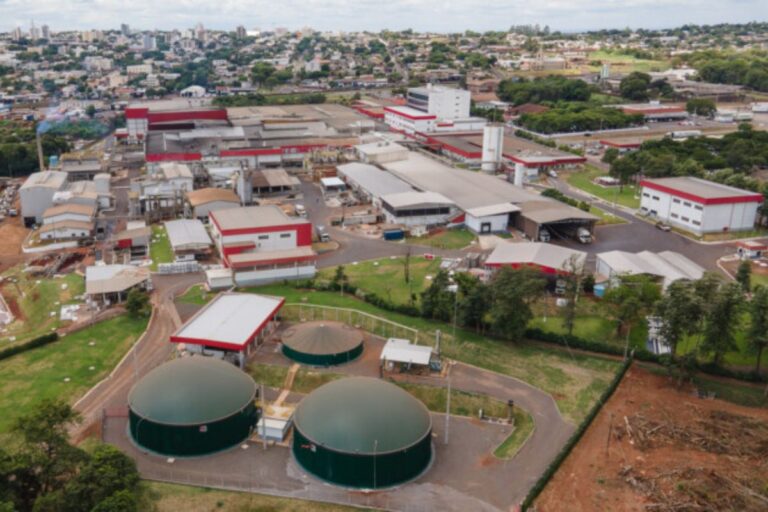 Entenda o que é uma cooperativa e a importância para o agronegócio