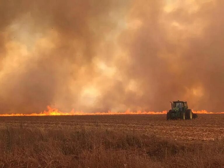 Incêndios no Brasil e a equivocada demonização dos produtores rurais