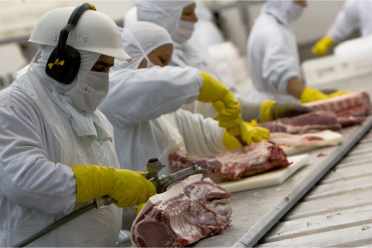 Governo publica decreto do programa de autocontrole regulado pela Defesa Agropecuária