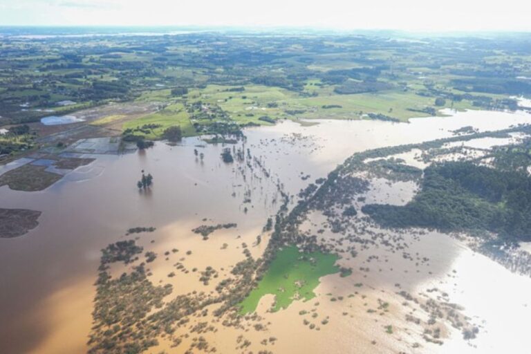 Governo federal libera R$ 1,9 bilhão para subvenção de crédito rural no RS