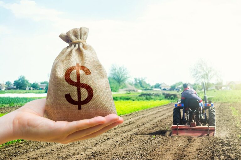 Política Agrícola e o buraco negro
