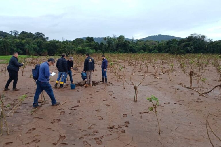 Governo encaminha projeto para destravar restrições de crédito a produtores gaúchos