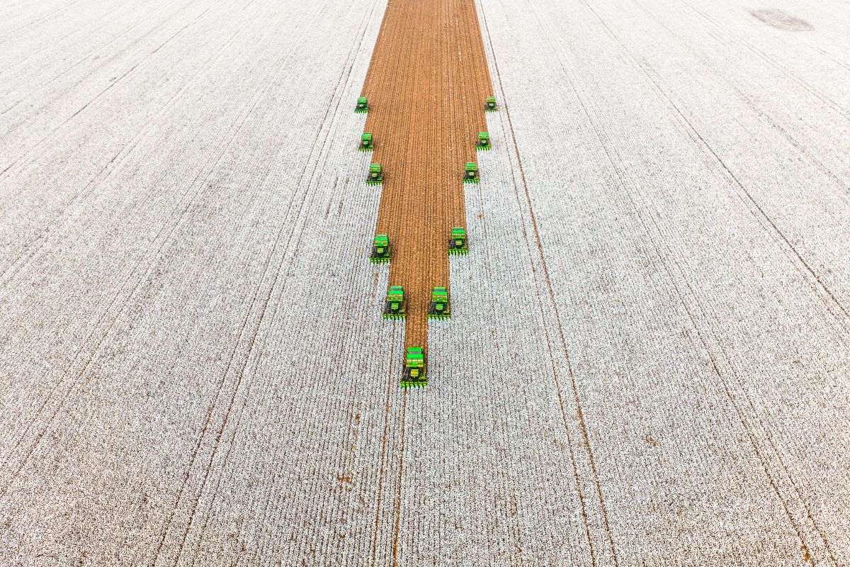 Foto: SLC Agrícola/Divulgação