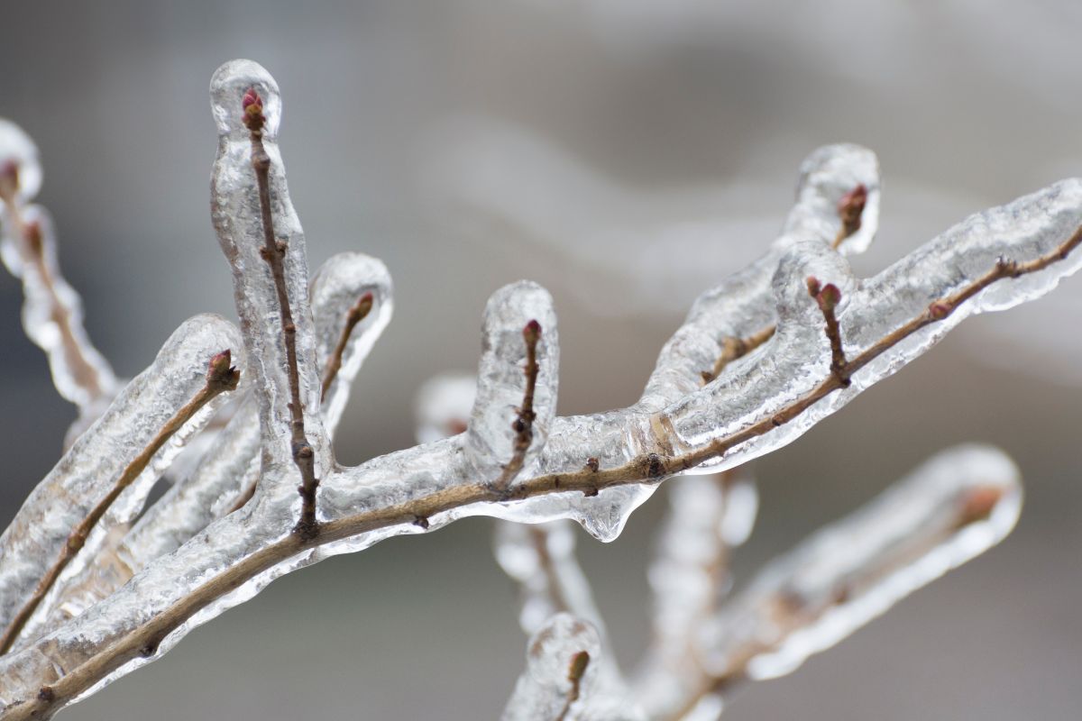 Foto: Adobe Stock