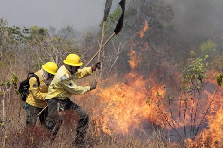 Decretos municipais de emergência por incêndios florestais aumentam 193% em 2024