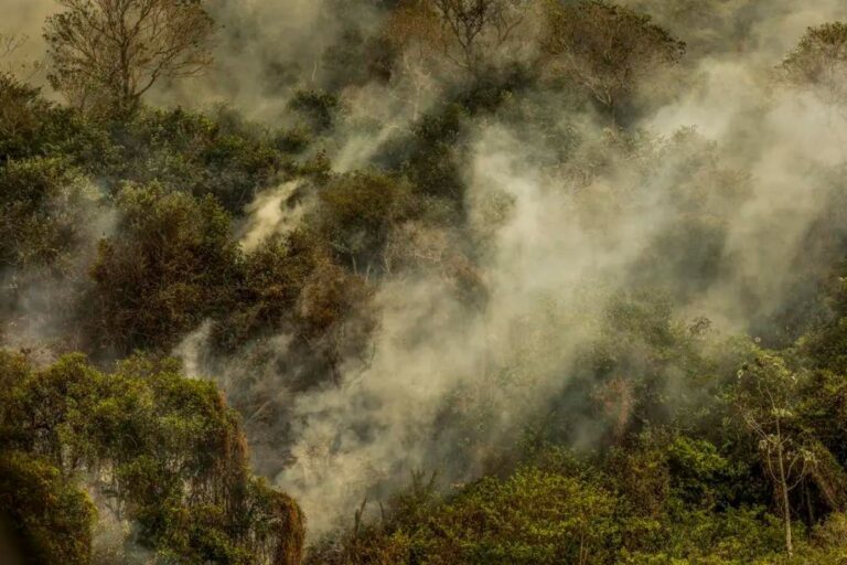 Queimadas: Rondônia declara situação de emergência; em São Paulo, 5 pessoas foram presas por provocar incêndios
