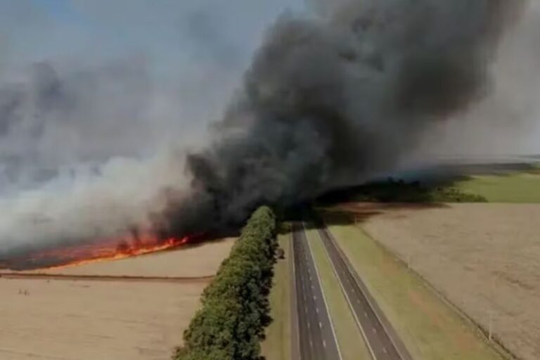 SP cria ferramenta para auxiliar produtores rurais atingidos por incêndios