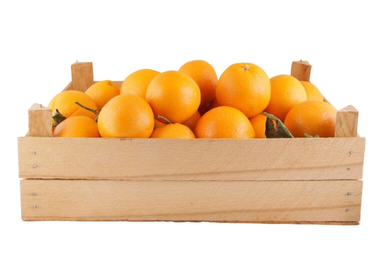 Citros: laranja pera tem novo preço recorde