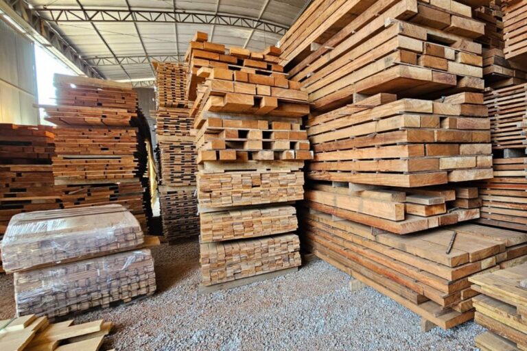 Greve no Ibama: setor florestal estima US$ 10 milhões em prejuízos