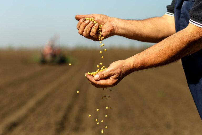Soja encerra o dia abaixo de US$ 10 por bushel pela primeira vez neste ano
