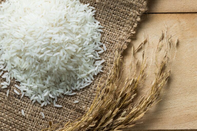 Arrozeiros voltam a defender produção enquanto governo federal retoma discussão sobre o tema do leilão