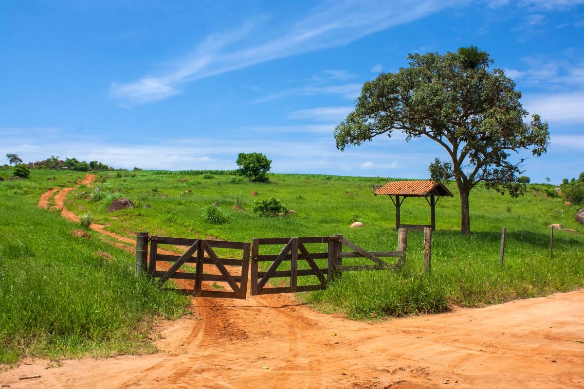 Foto: Adobe Stock