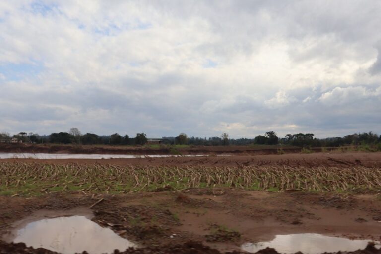 CMN prorroga parcelas de dívidas rurais de produtores do RS até outubro