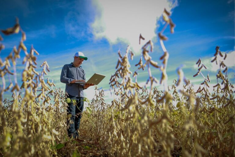 CNA inicia atividades com startups do agro em programa de impulsionamento
