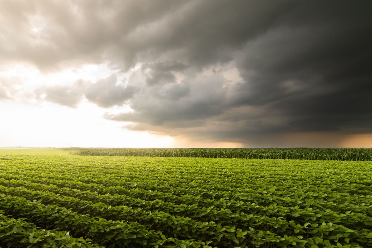 Foto: Adobe Stock