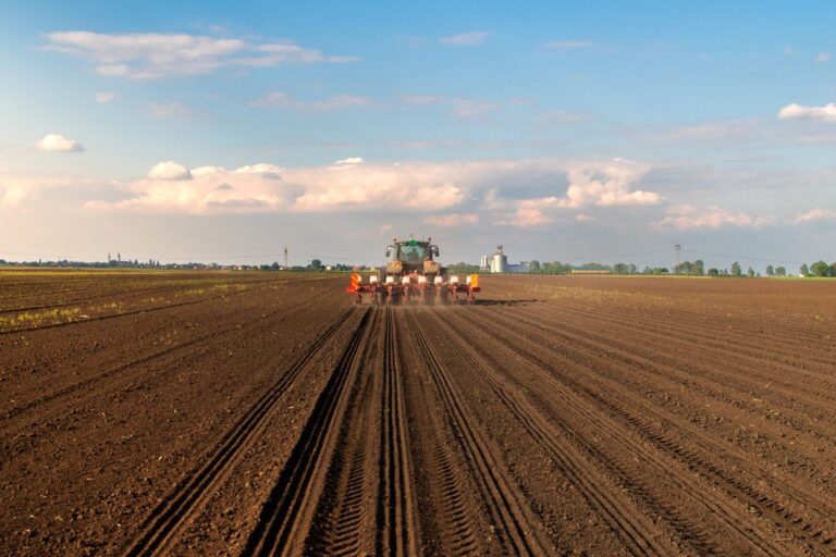 Ministério da Agricultura publica Zarc de amendoim, milho, soja e sorgo para estados do Nordeste e Norte