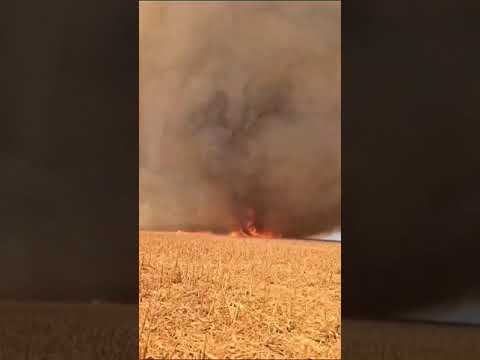  Redemoinho de poeira e fogo em Goiás