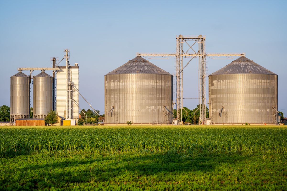 Foto: Adobe Stock