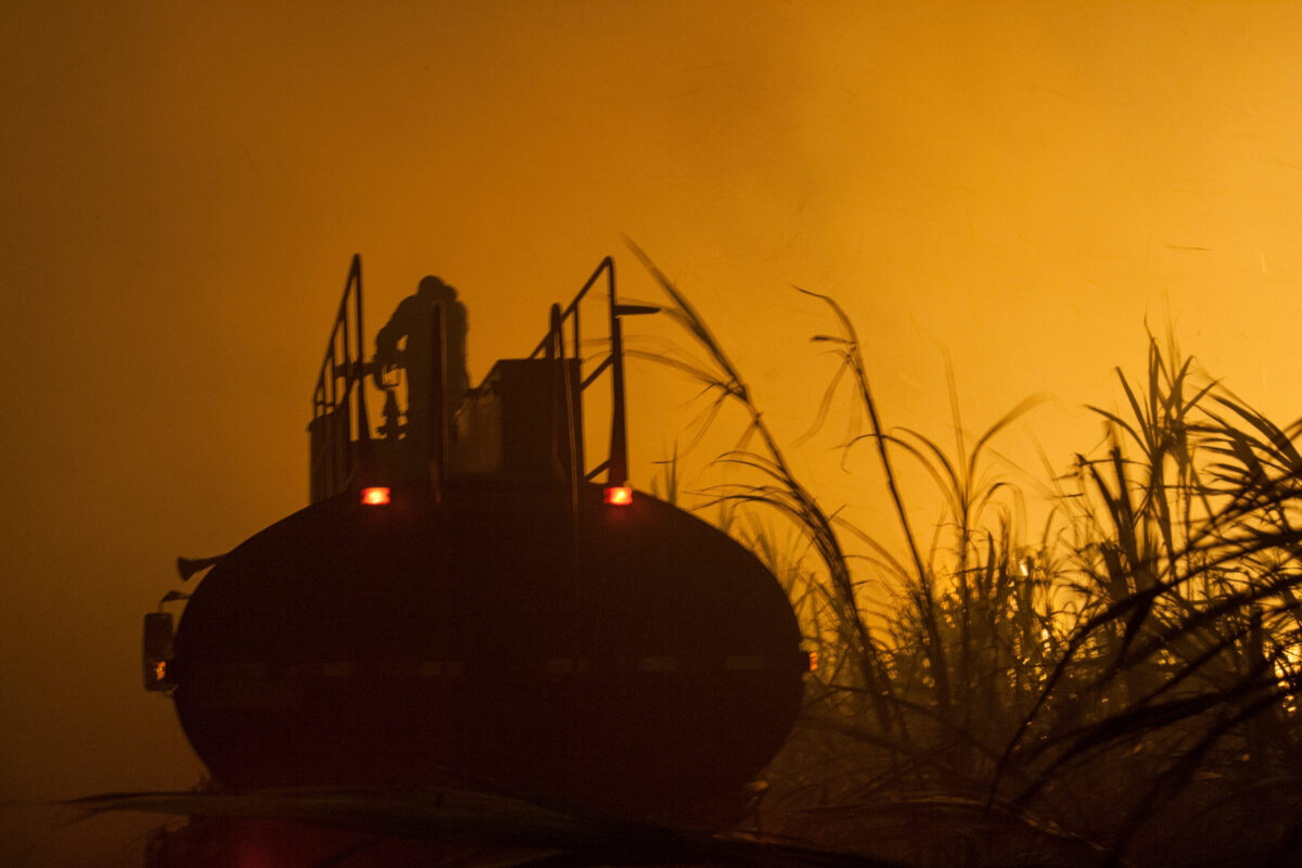 Foto: Banco de Imagens/Agro Estadão