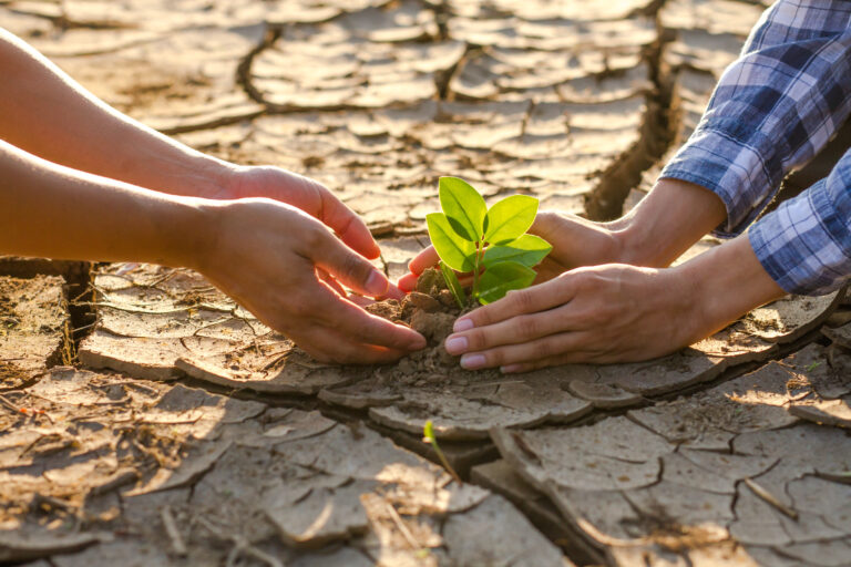 Mudanças climáticas: dos prejuízos no campo à necessidade de avanços tecnológicos