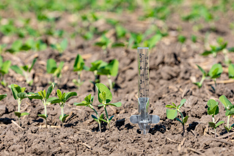 Clima segue impactando preços das commodities