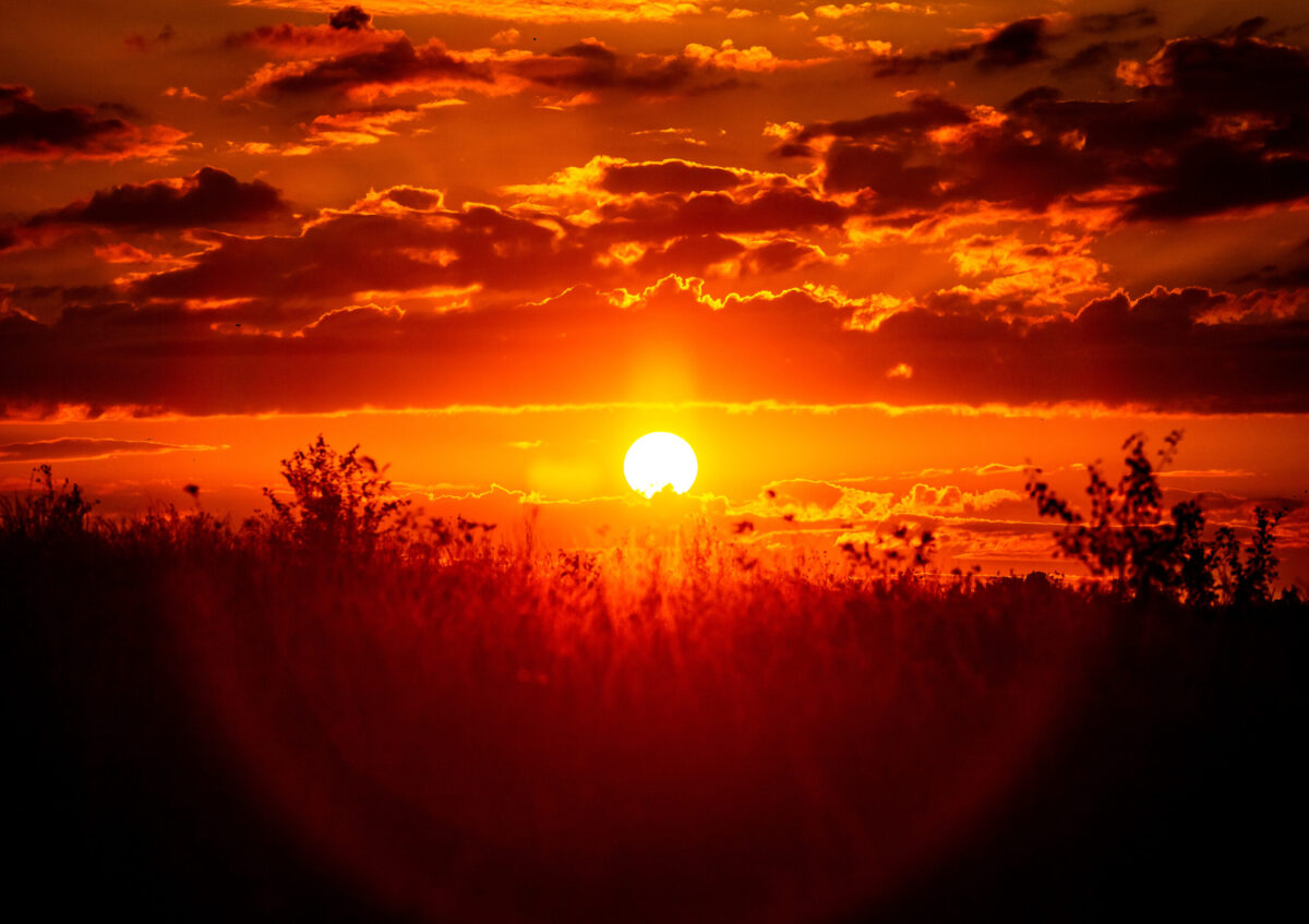 Foto: Adobe Stock