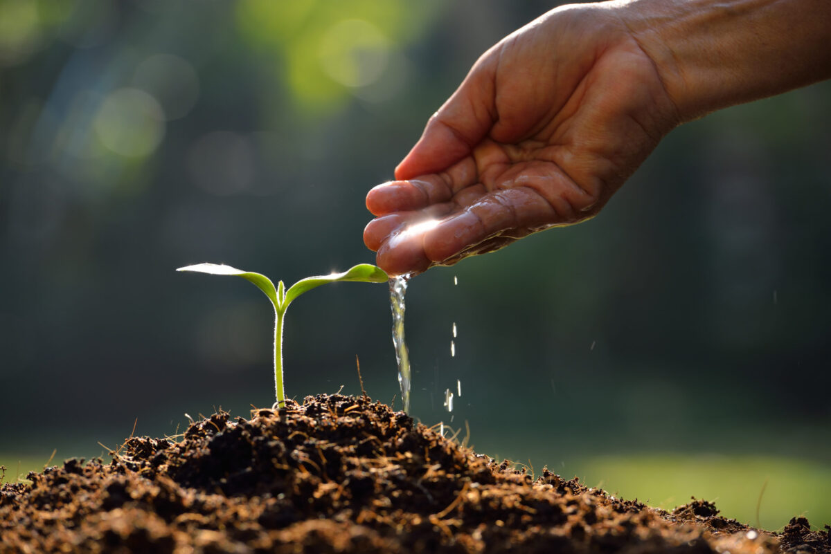 Foto: Adobe Stock