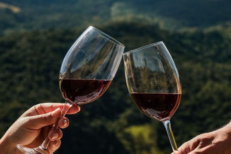 Rotas de vinhos em São Paulo são opção para turismo gastronômico