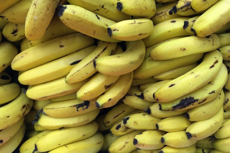 Preços da banana nanica estão em alta em Bom Jesus da Lapa