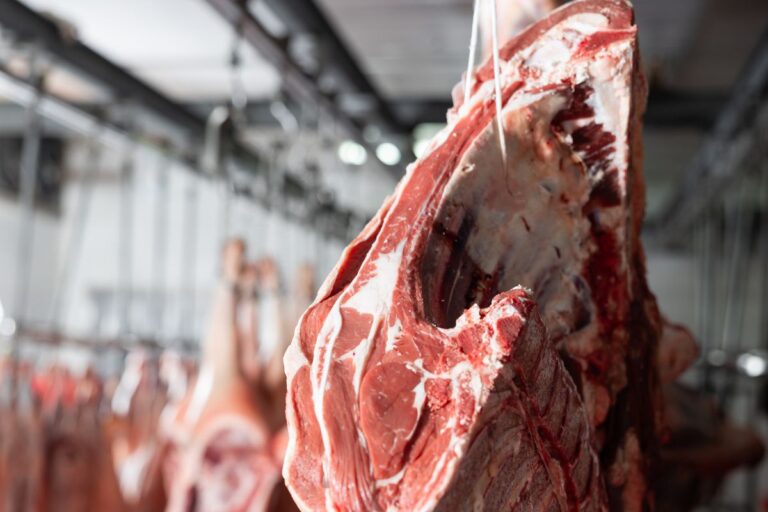Preços da carne de boi atingem máximas do ano em SP