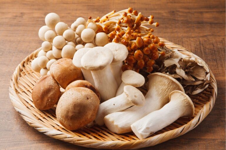 Cogumelos: cultivo exige cuidados, mas pode ser alternativa para pequeno produtor; conheça os principais tipos