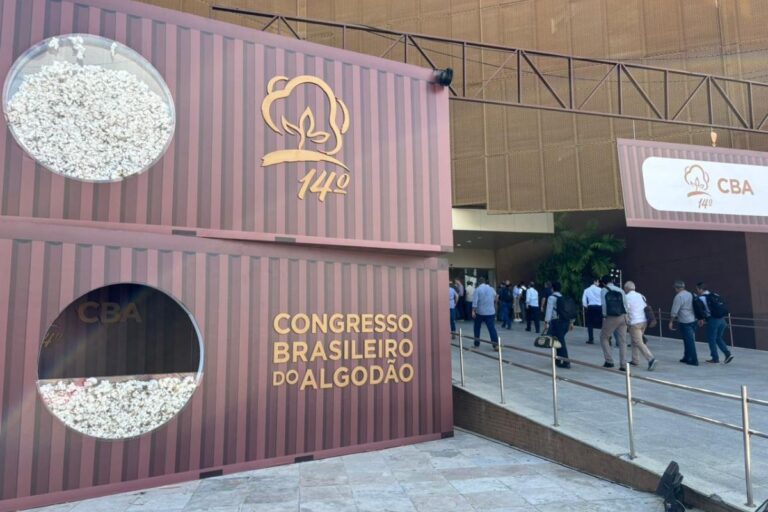 Fortaleza recebe Congresso Brasileiro de Algodão após Brasil assumir liderança de exportações