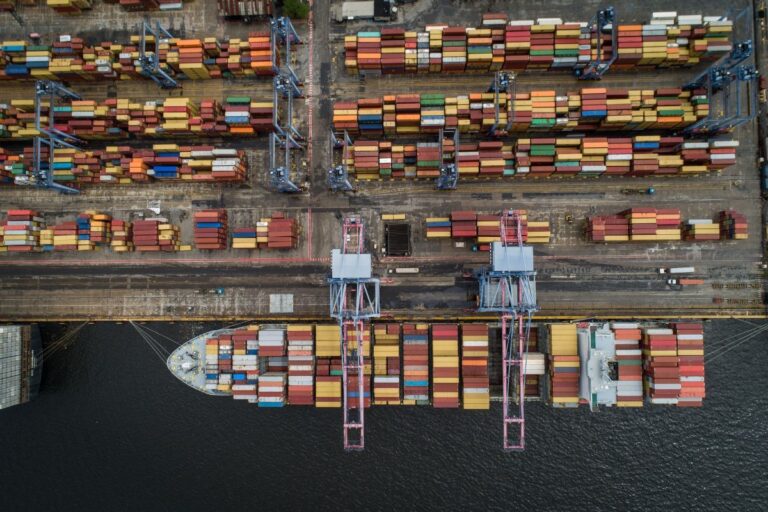 Aves e suínos: ABPA projeta recorde nas exportações de 2024 e mais expansão para 2025