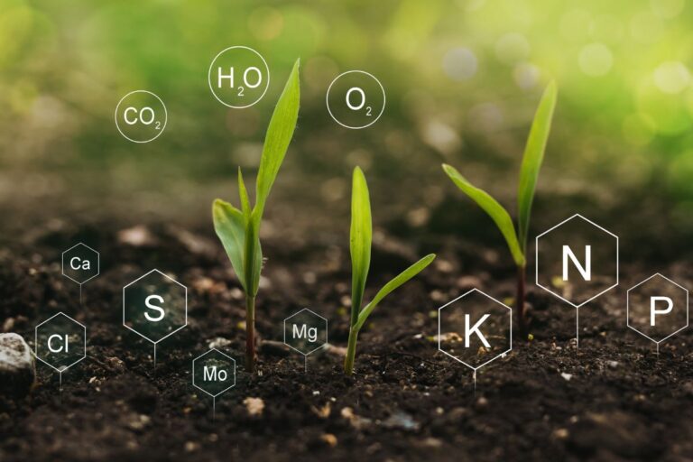 Entregas de fertilizantes caem 1,8% em junho ante junho de 2023, diz Anda