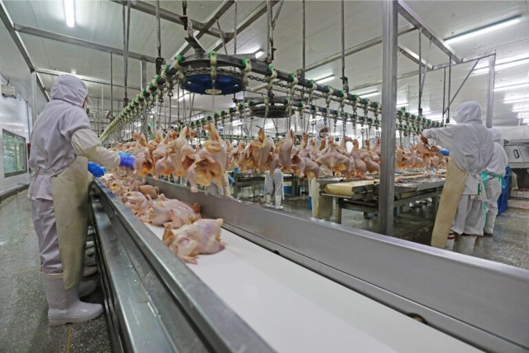 Governo prevê retorno das exportações de frango do RS para China em outubro