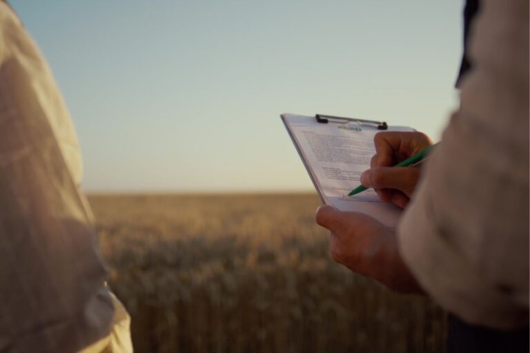 Holding rural: o que é e quais as vantagens para o produtor