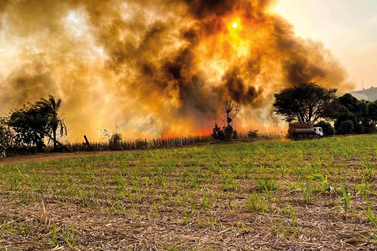 Foto: FAESP/Divulgação