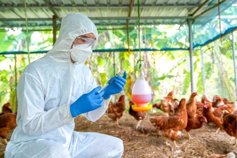 Sancionada lei que amplia medidas de enfrentamento de emergência fitossanitária e zoossanitária