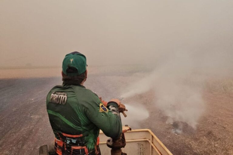 Incêndios: prejuízos ao setor de cana passam de R$ 800 milhões