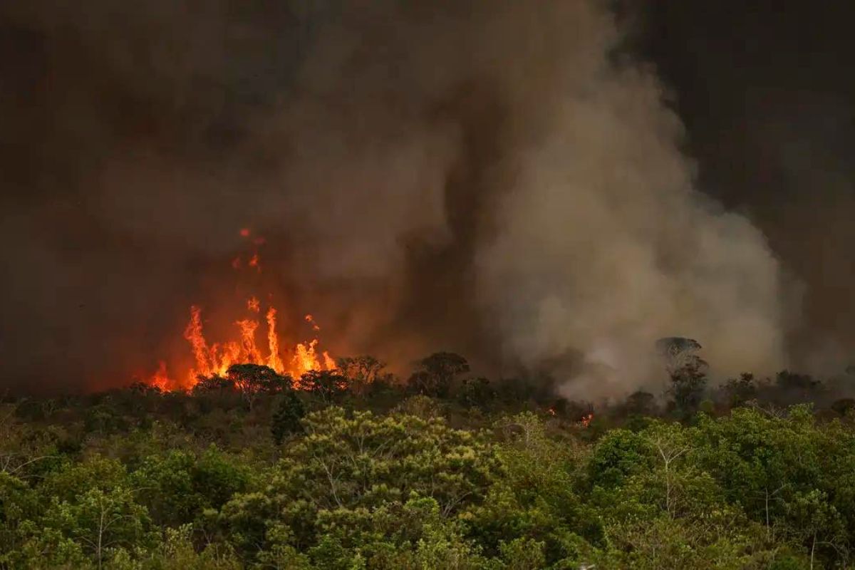 Foto: Marcelo Camargo/Agência Brasil