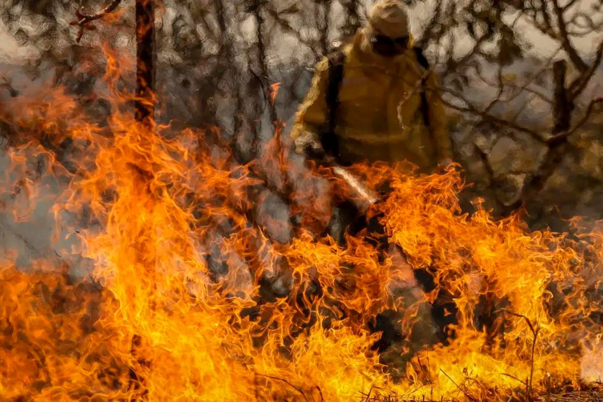 Foto: Marcelo Camargo/Agência Brasil