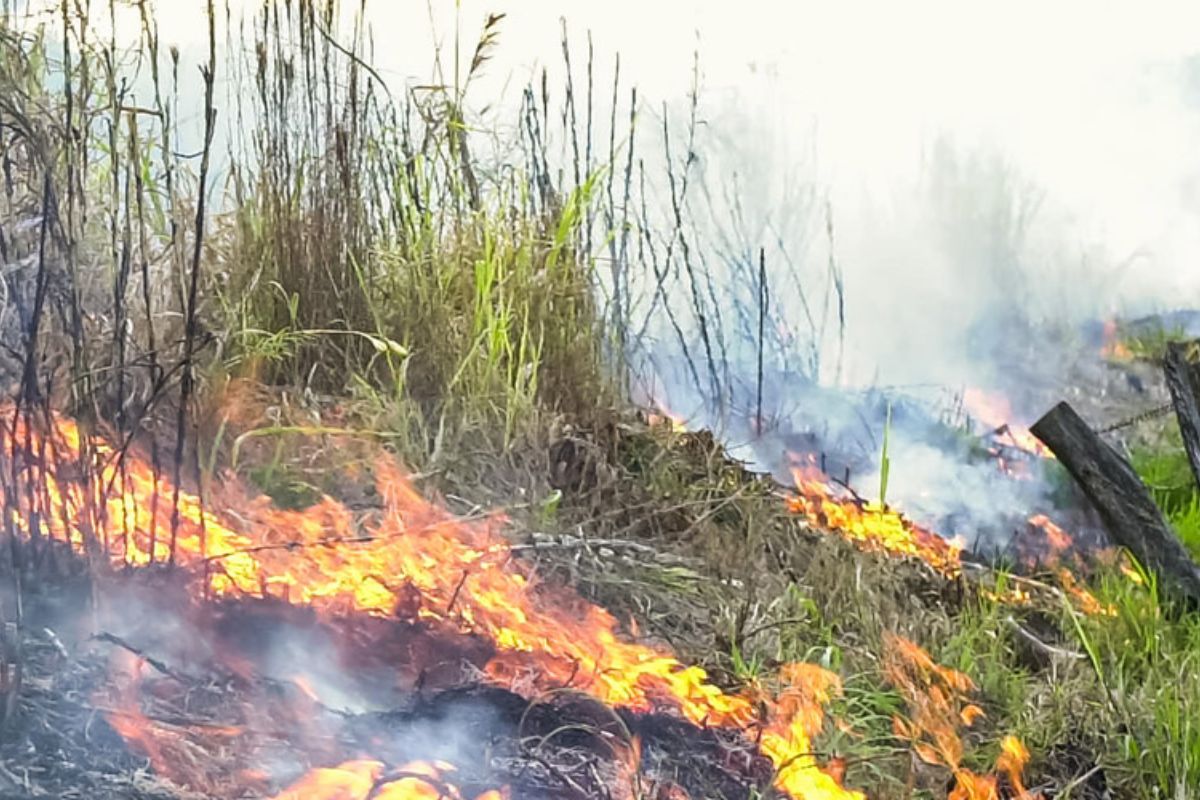 Foto: FAEP/Divulgação