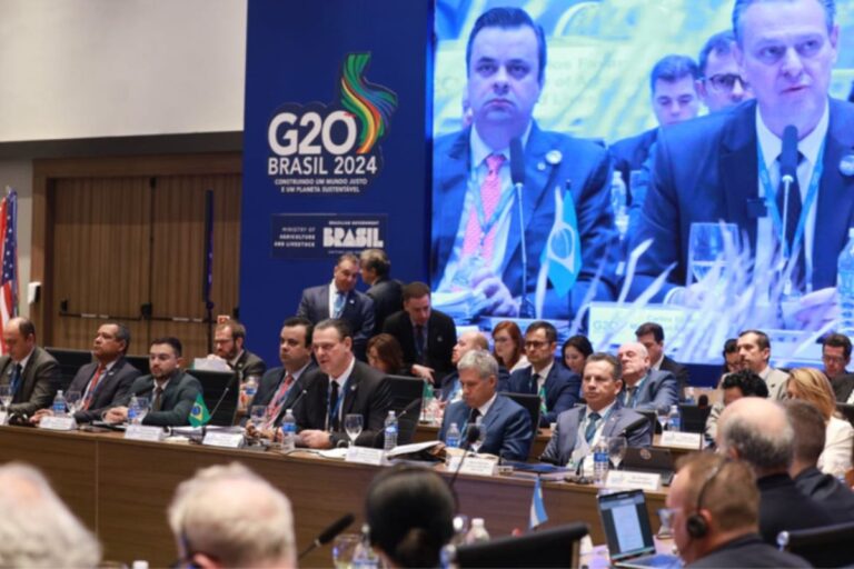 “Brasil pode se tornar um case de sucesso em relação à produção sustentável de alimentos”, analisa pesquisadora