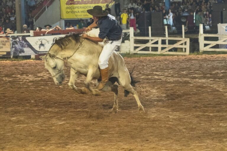 Lei que regulamenta Rodeio Crioulo é sancionada