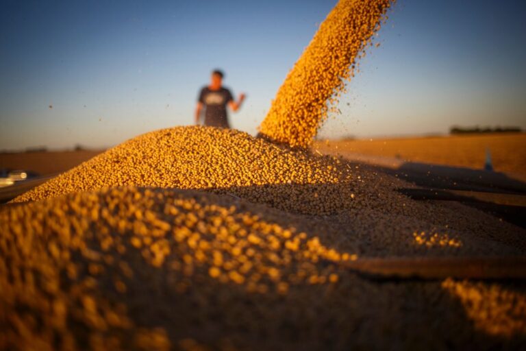 Conab estima produção de grãos em 298,41 milhões de toneladas